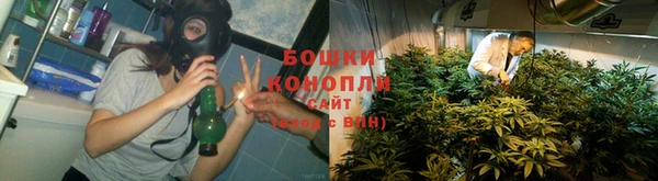 бошки Шадринск