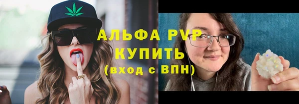 бошки Шадринск