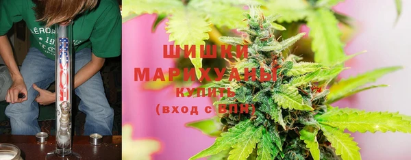 бошки Шадринск