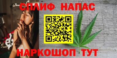 прущие грибы Рузаевка